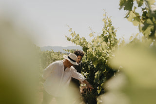 vigneron-vin-bio-biodiversite-chateau-beaumel-aop-cotes-de-provence